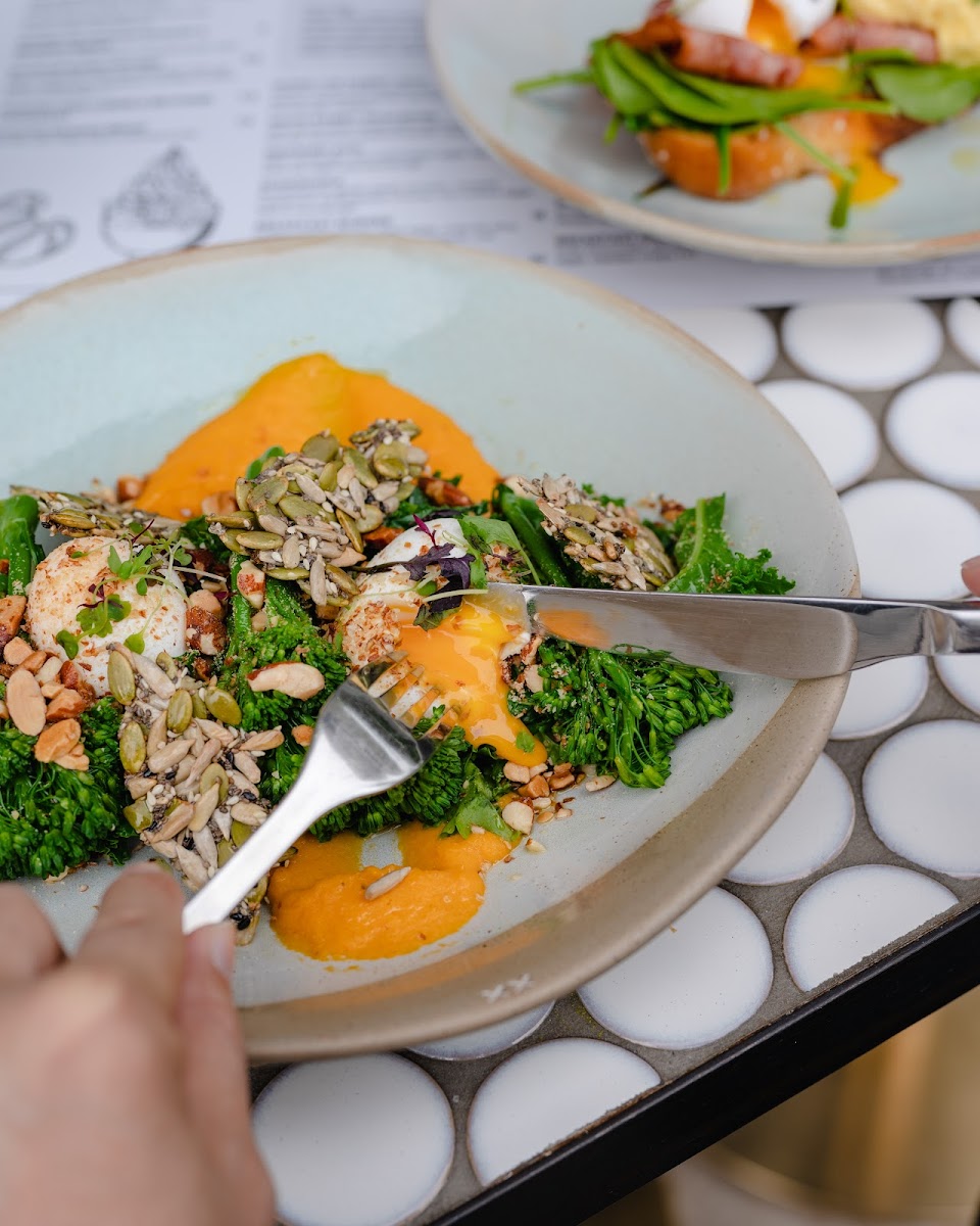 White Rabbit Drummoyne - 10