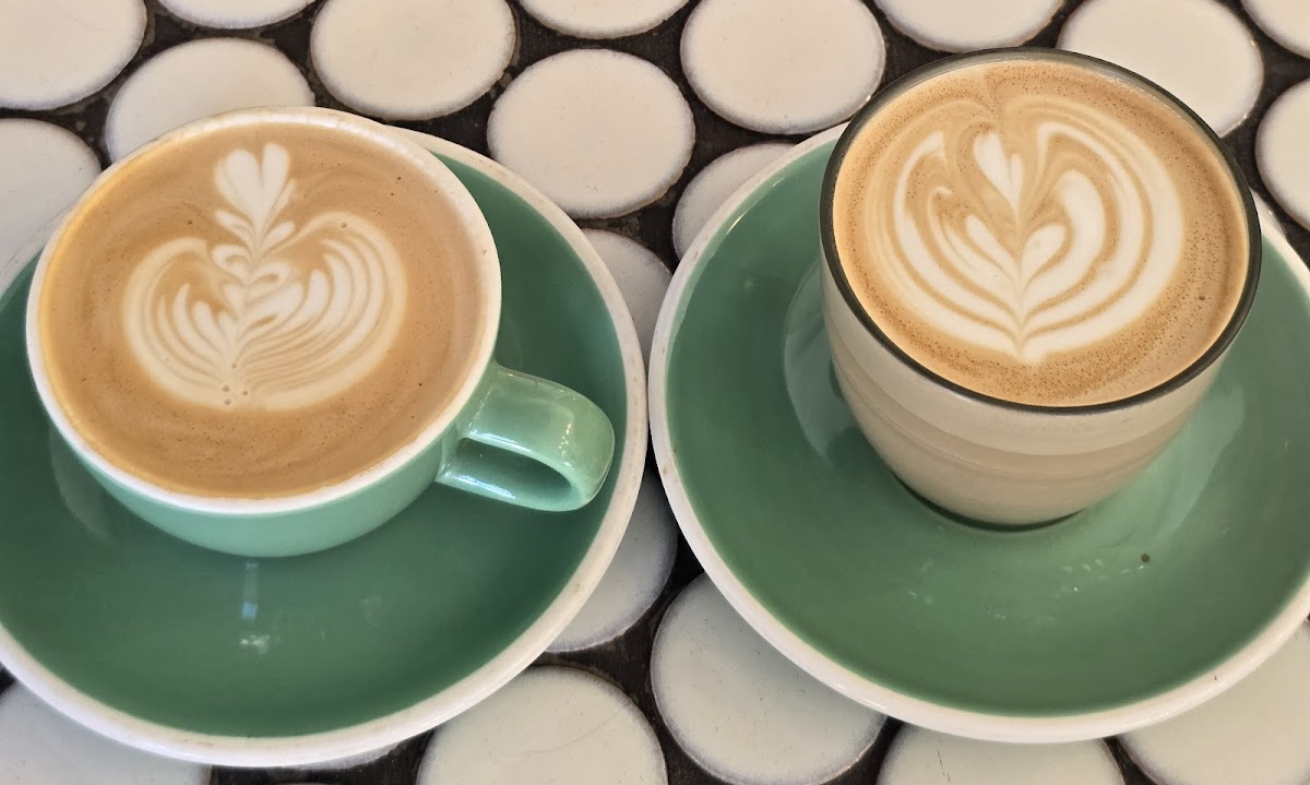 White Rabbit Drummoyne - 4