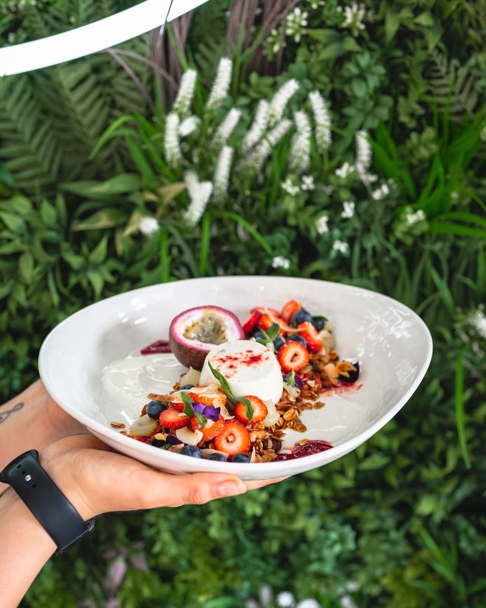 White Rabbit Drummoyne - 8