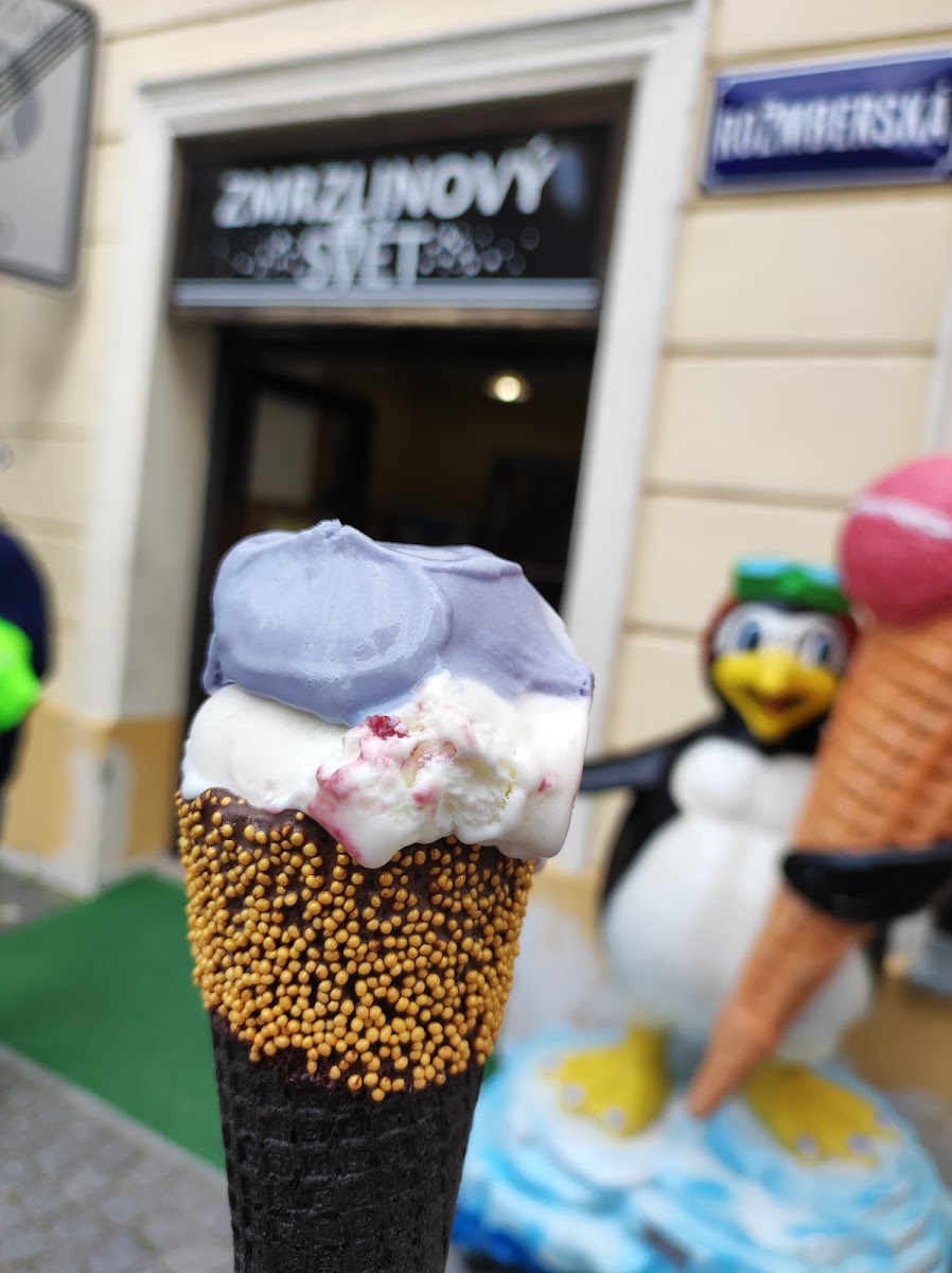 Cukrarna Zmrzlinovy svet - 8