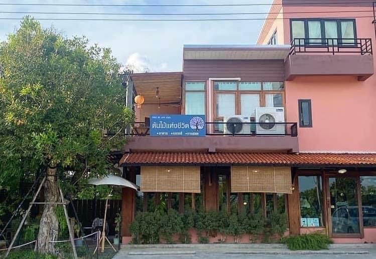 Tree of Life Cafe ต้นไม้แห่งชีวิต