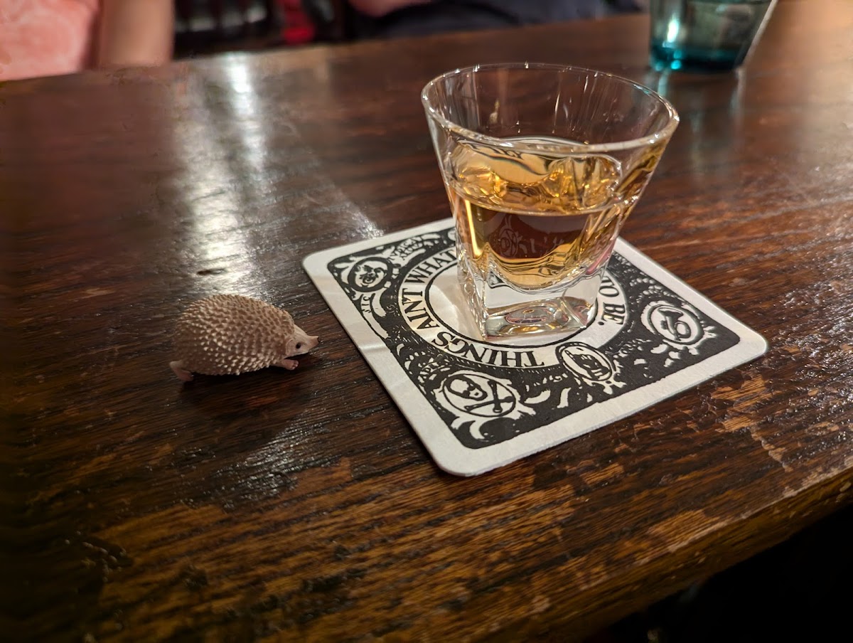 jazz spot YAMATOYA - 5