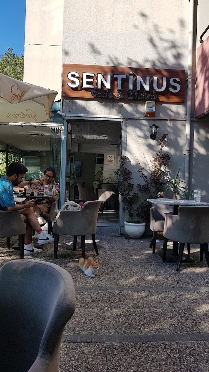 Sentinus Cafe
