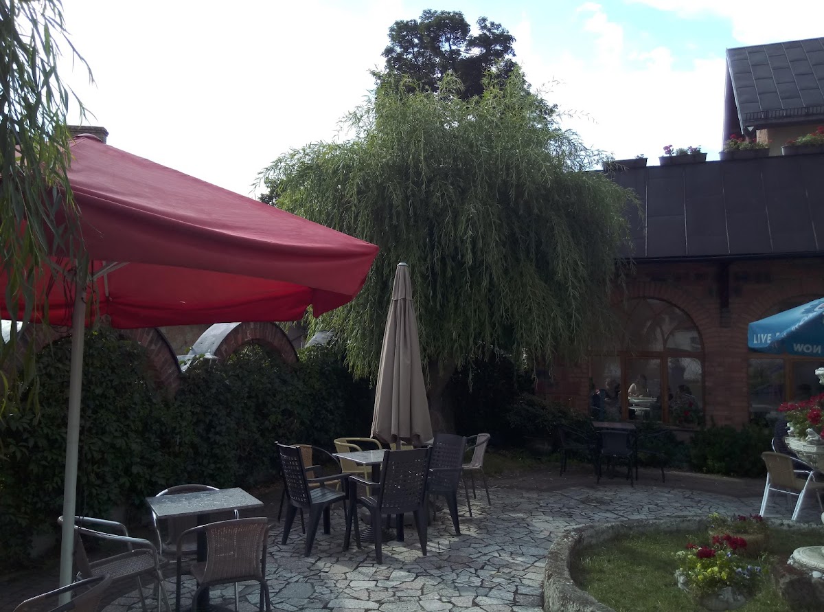 Ice & coffe kozieł - 6