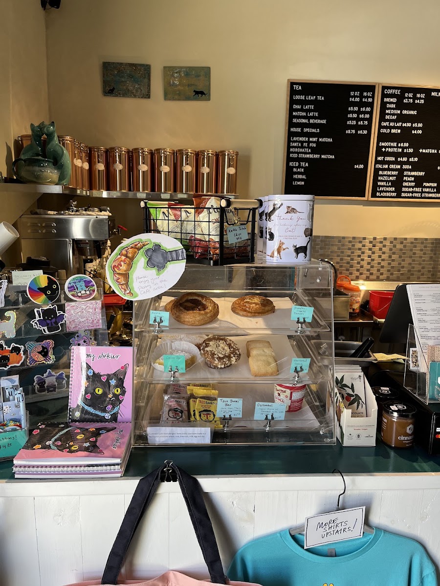 Turquoise Teapot and Cat Cafe