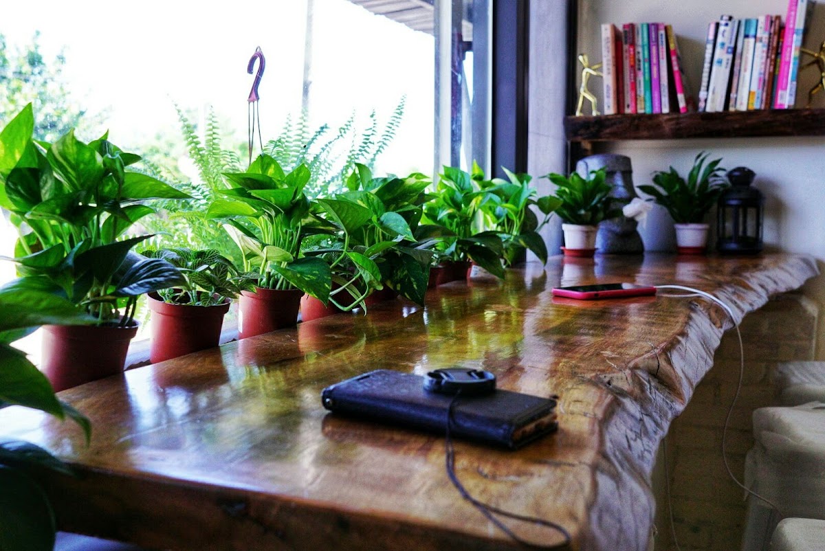 光覺咖啡太魯閣店Taroko Lighten Cafe(預約制)