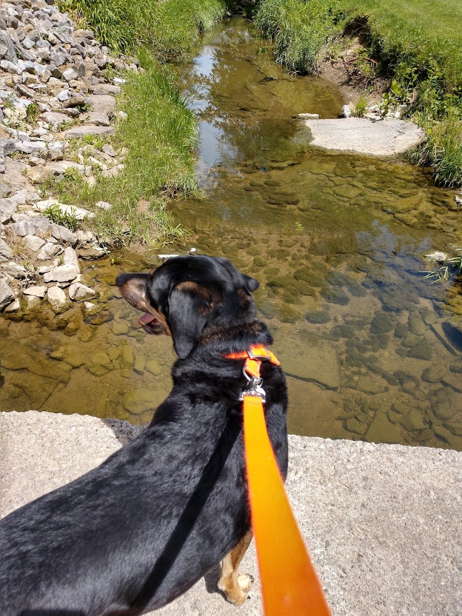 HOLY FAMILY CHURCH CAFETERIA - 2