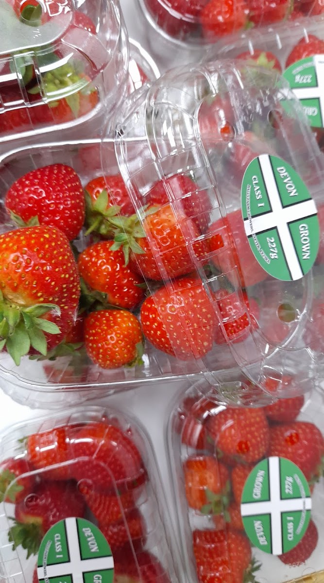 Sylvania Community Stores and Cafe - 8