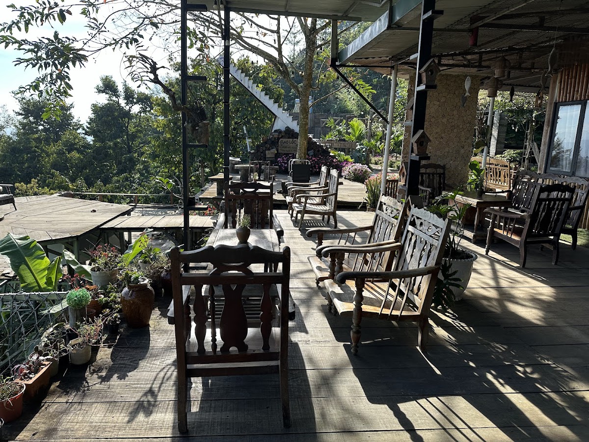 Thời Thanh Xuân - Homestay & Coffee