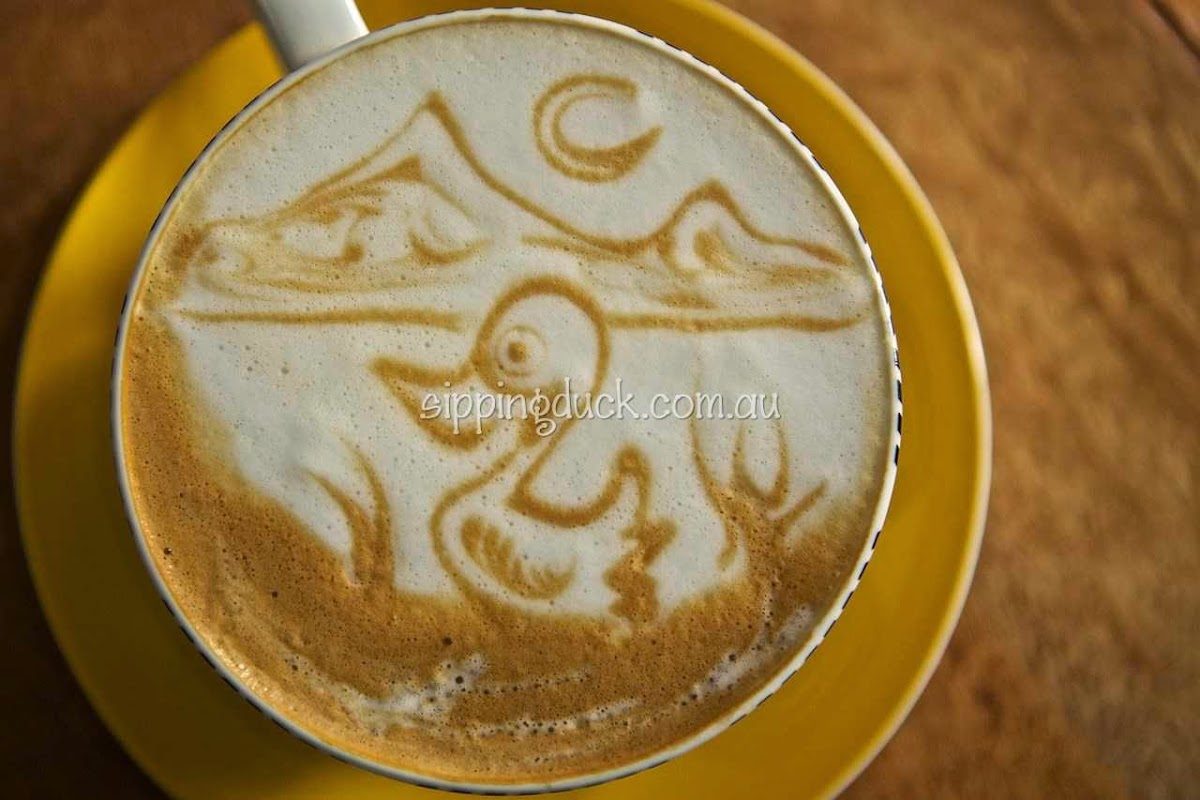 Sipping Duck Coffee Roasters - 5