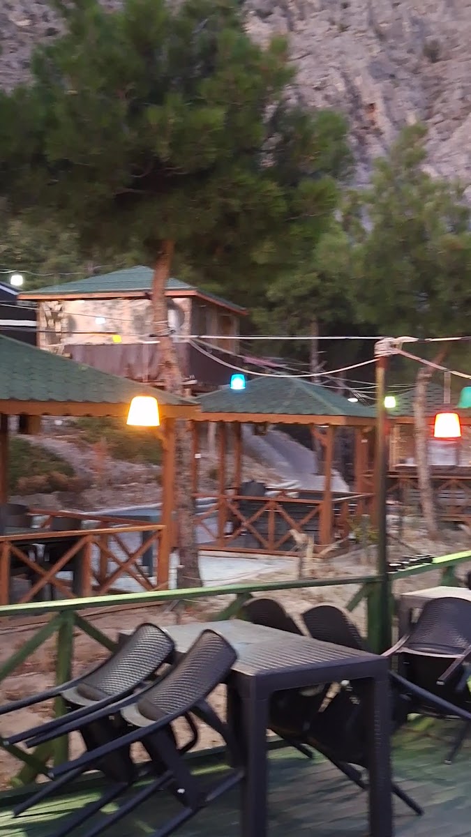 Ay Işığı Kafe - 2