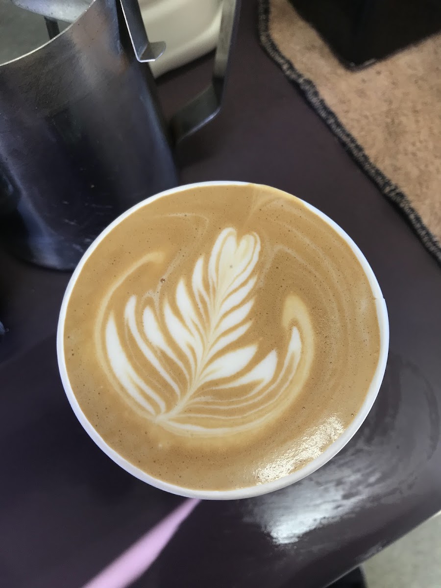 Muzz Buzz Cannington