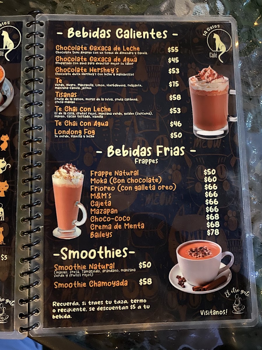 Catorce Gatos Cafe - 2