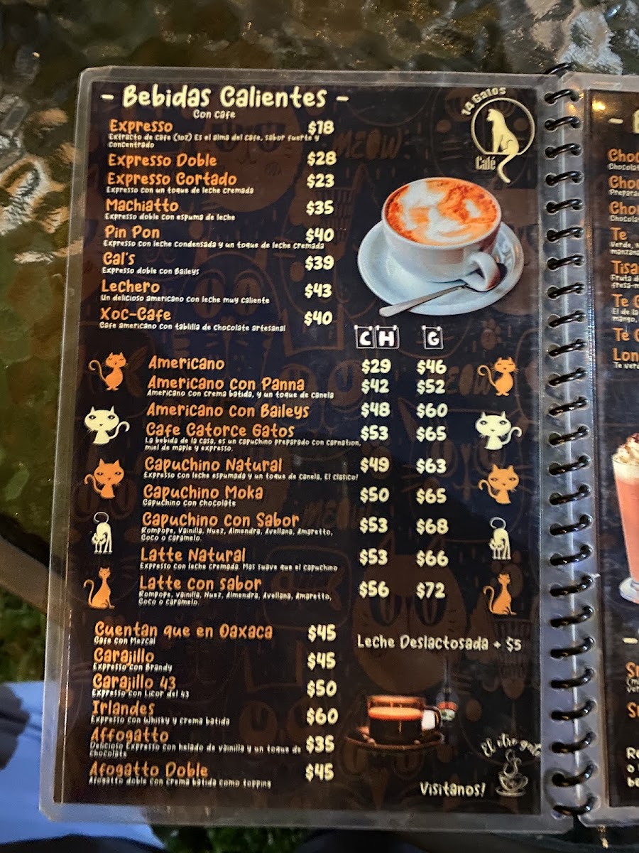 Catorce Gatos Cafe - 6