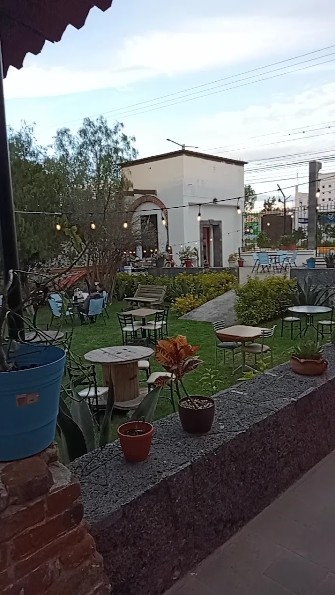 Catorce Gatos Cafe - 2