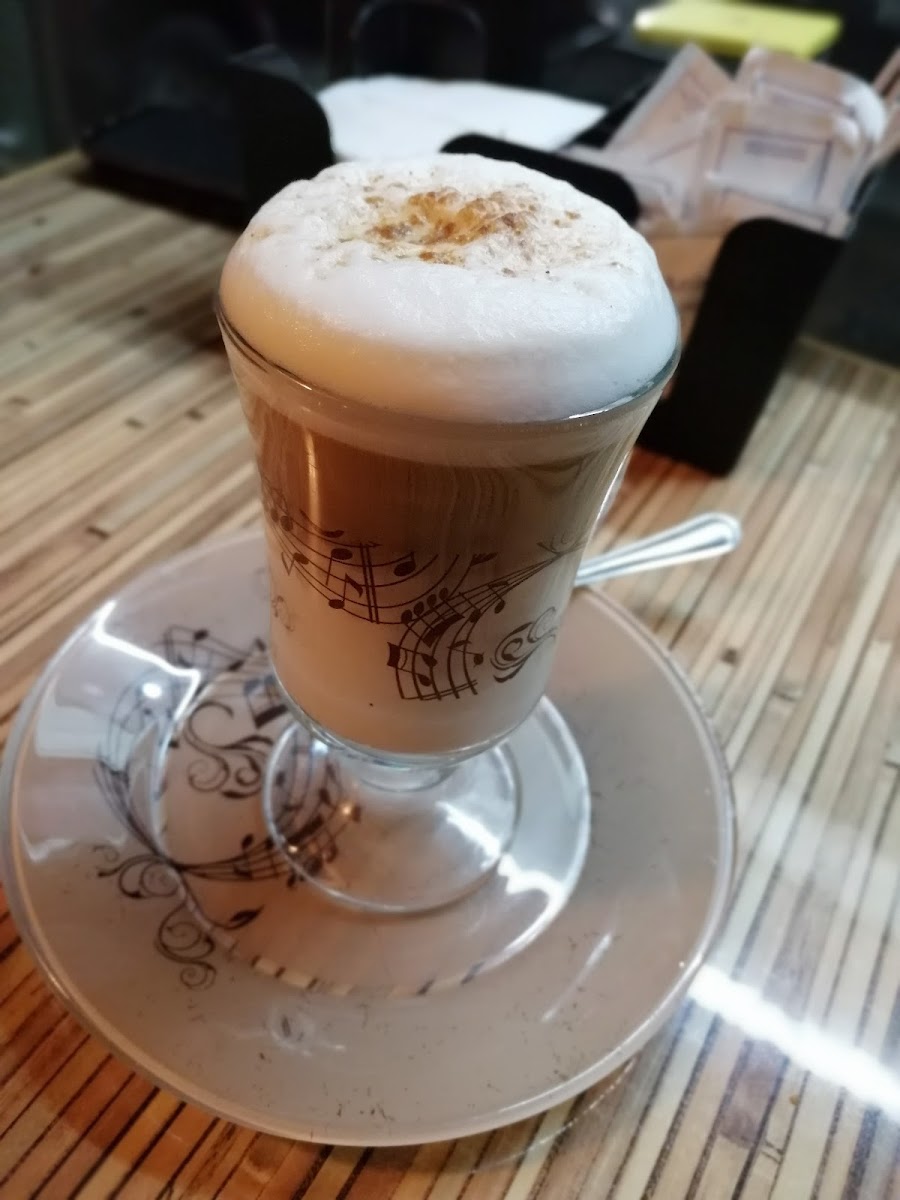 Catorce Gatos Cafe - 5