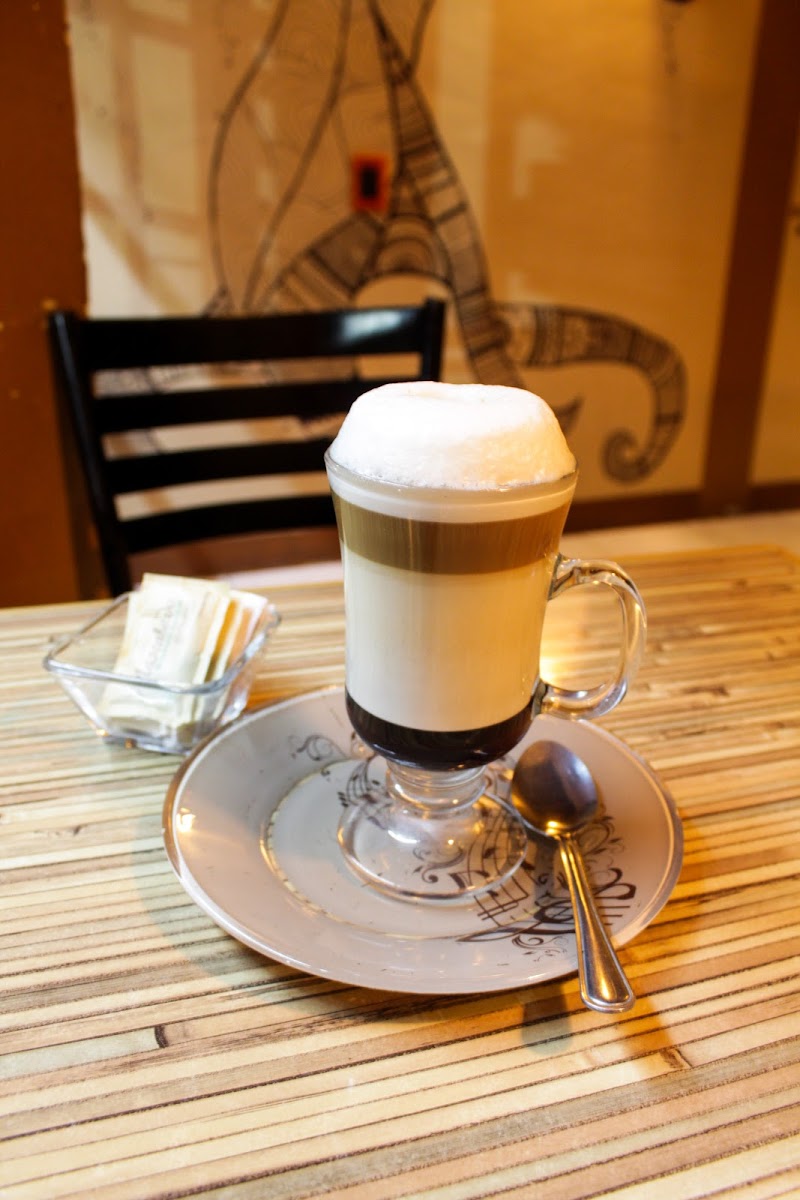 Catorce Gatos Cafe - 6