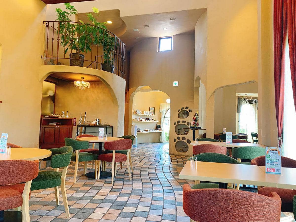 Fleurs et bonbons Le Cafe