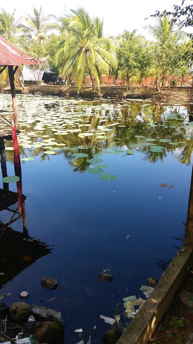 Cafe - Điểm Tâm Sáng 6 Mạnh - 4