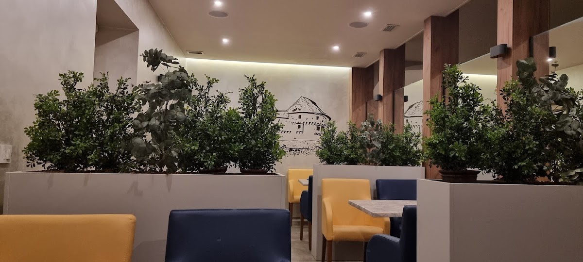 Cafe bar VERONIKA - 9