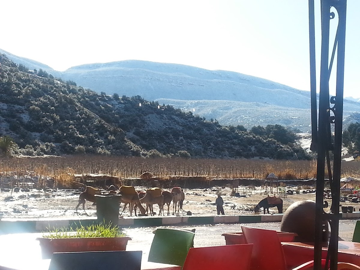 Cafe El Mouatamid - 4