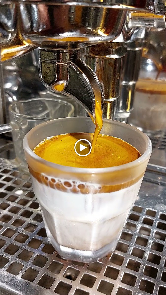 Coffee Philharmonic - 2