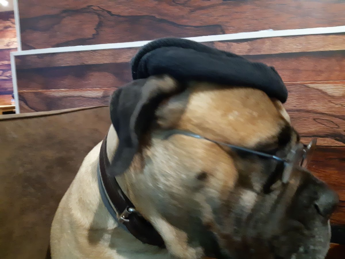 La Cabane Café - 10