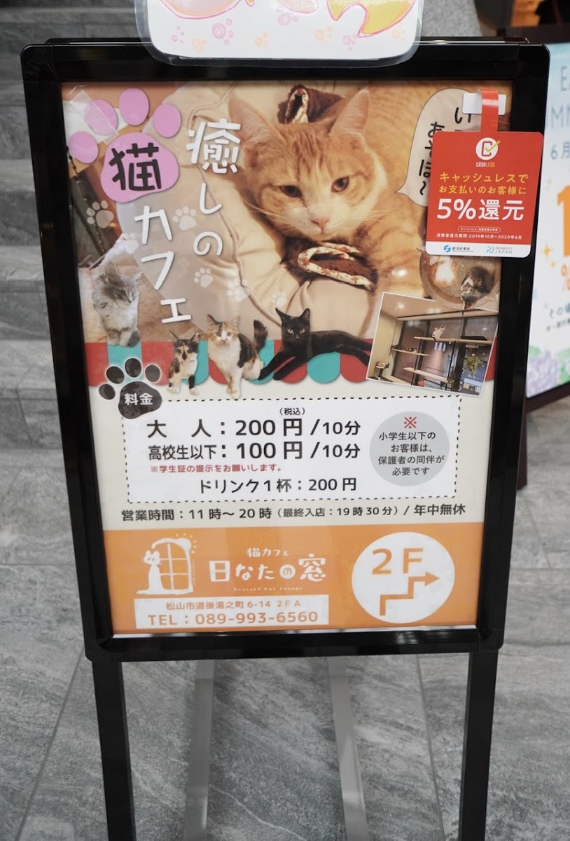 Cat Cafe Hinatanomado - 6