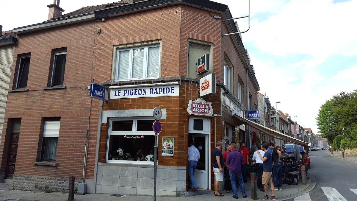 Le Pigeon Rapide - 4