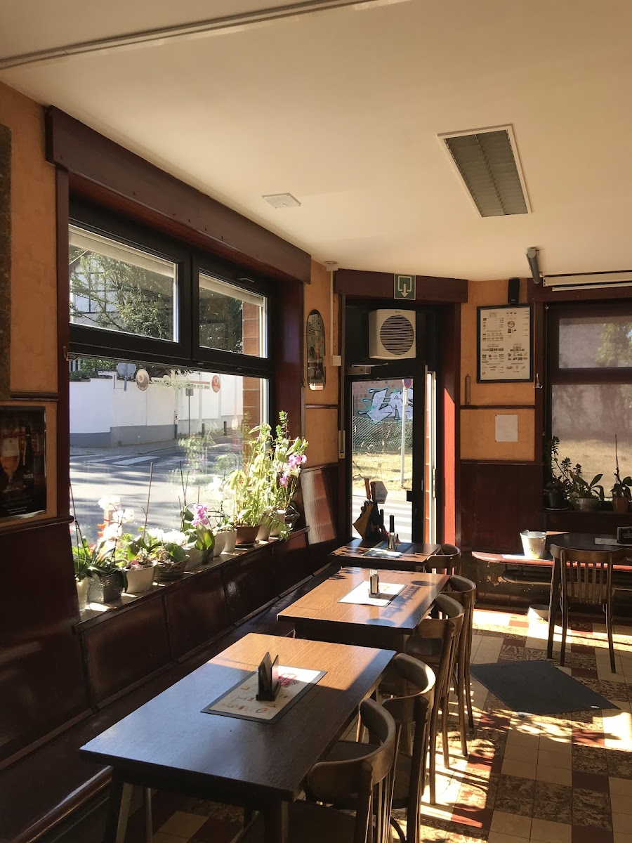 Le Pigeon Rapide - 6