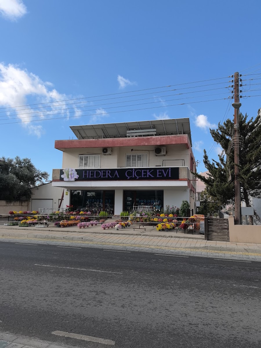 Cheers Cafe & Bar - 3