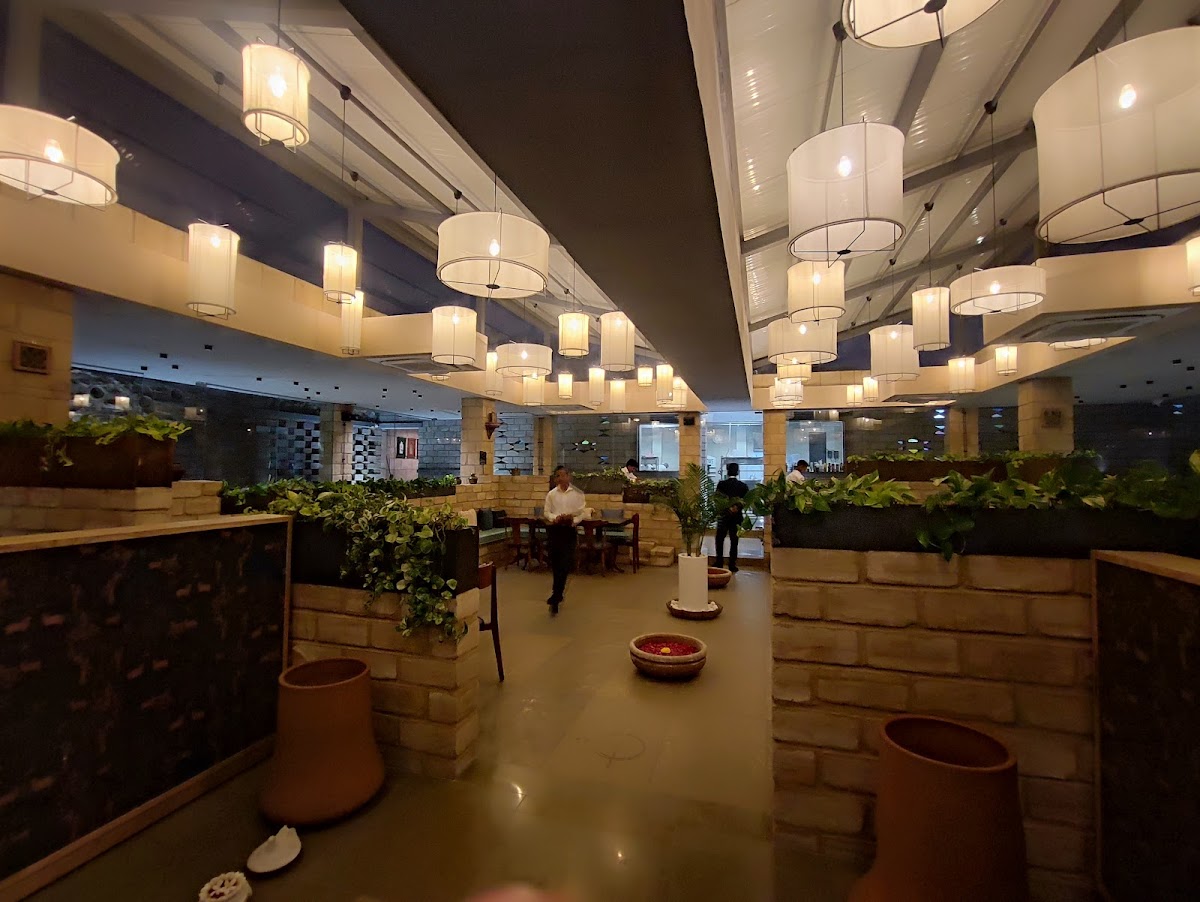 Blue Lotus Restro-Cafe