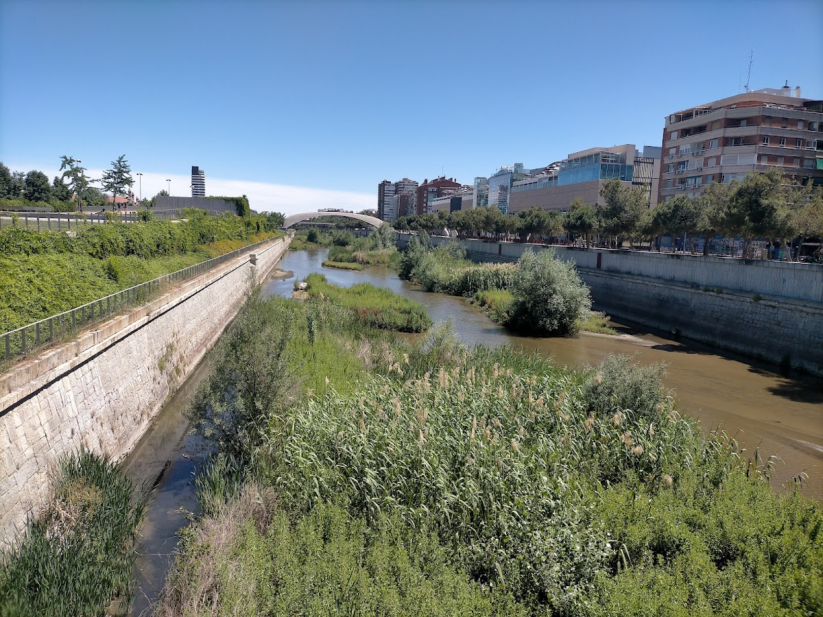 Kiosko Madrid Rio Princesa - 3