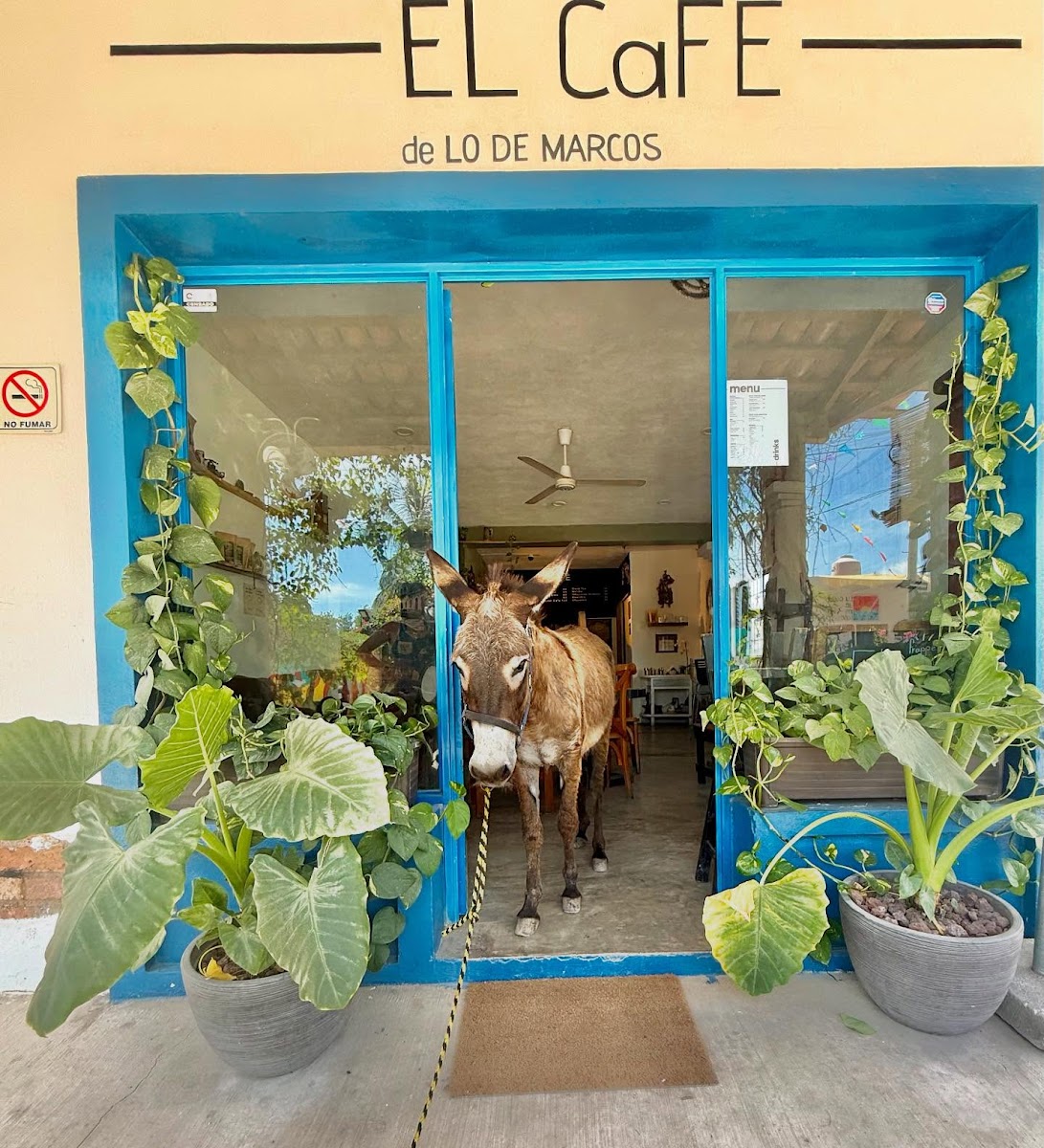 EL CaFÉ de Lo De Marcos
