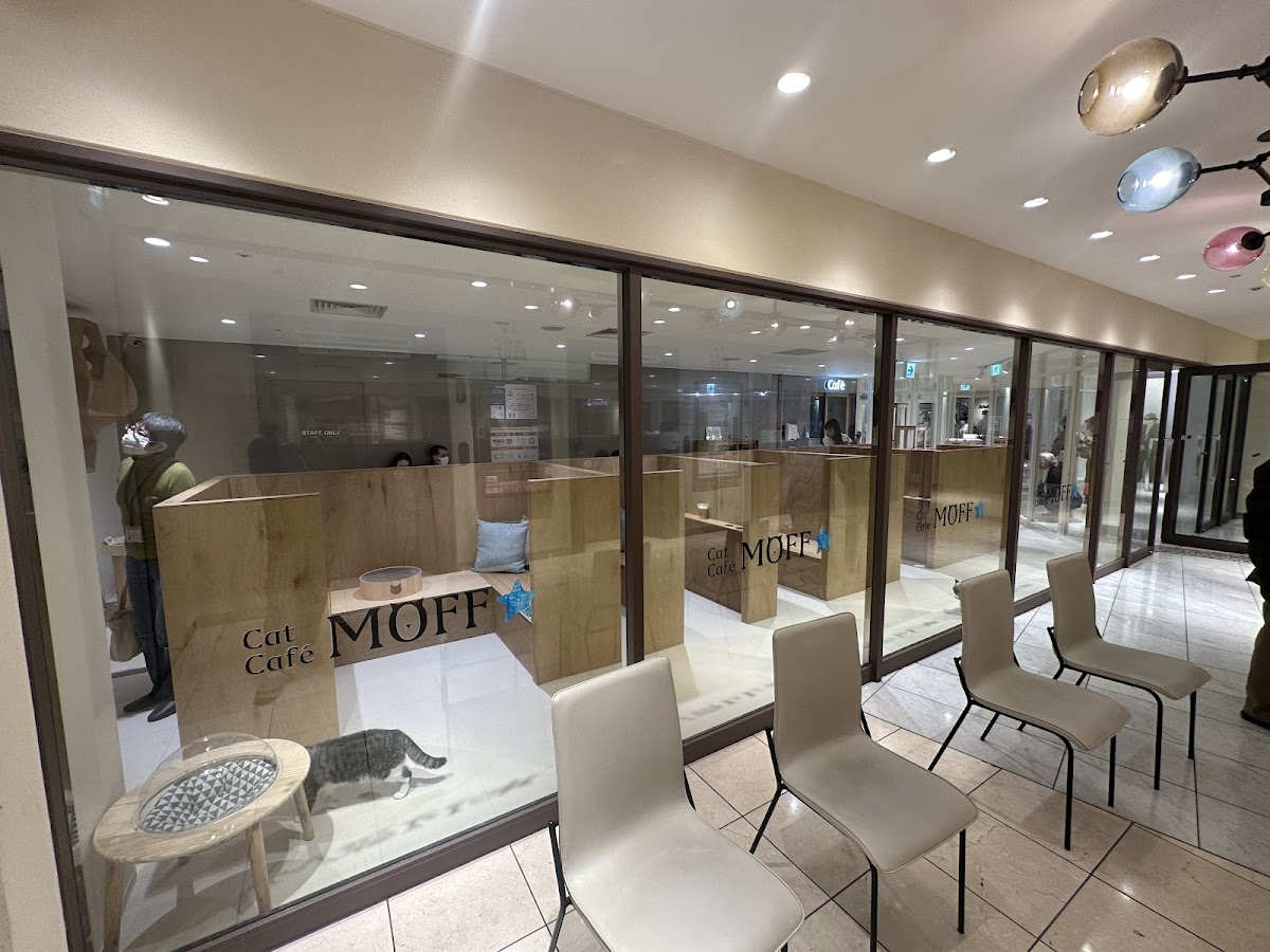 Cat Cafe MOFF Tennoji MIO