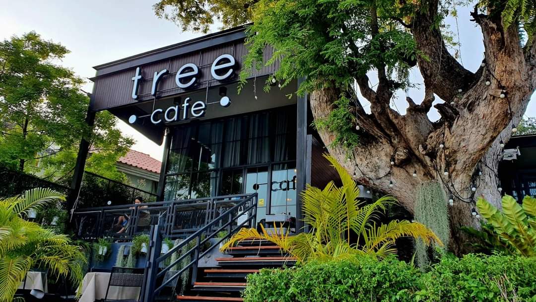 Dao Coffee: The Tea Room