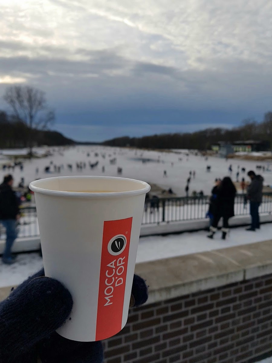 Koffie tentje Amsterdamse bos - 5