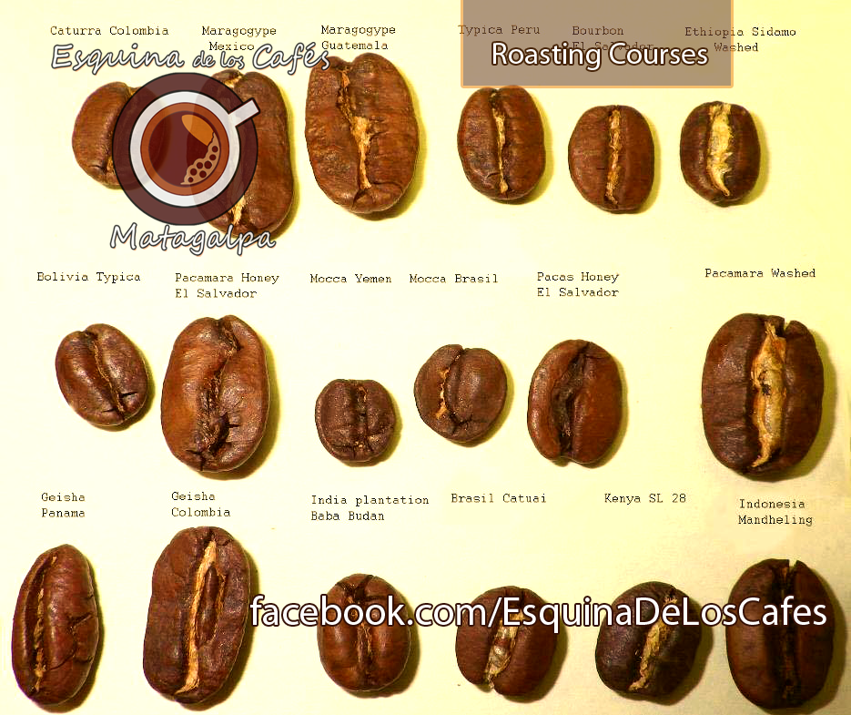 EsquinaDeLosCafes - 9