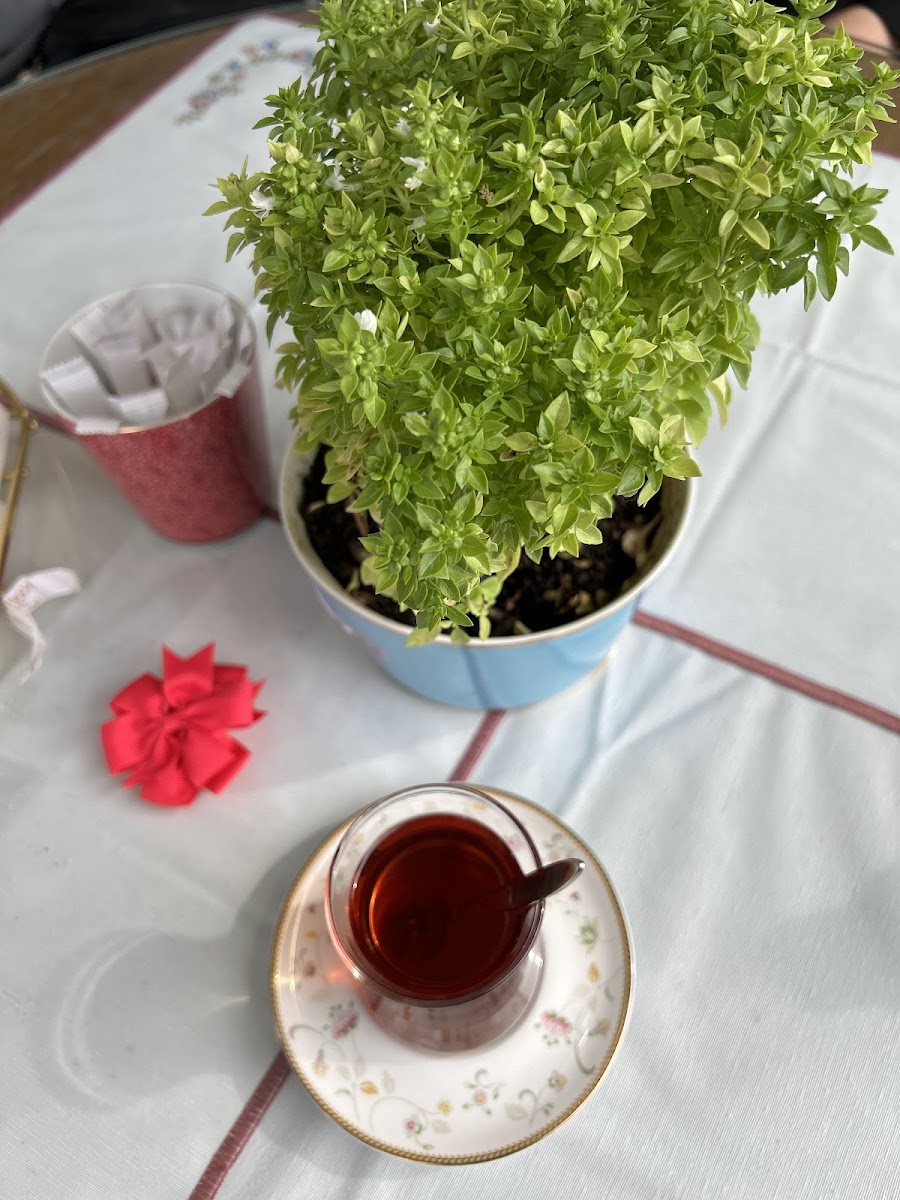 LAHFA Maison Boutique Kafe - 7