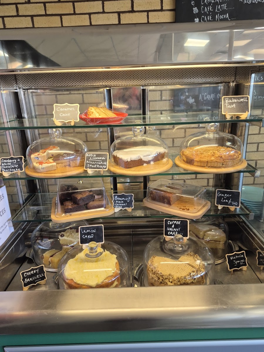 The Potting Shed Cafe Roden - 9