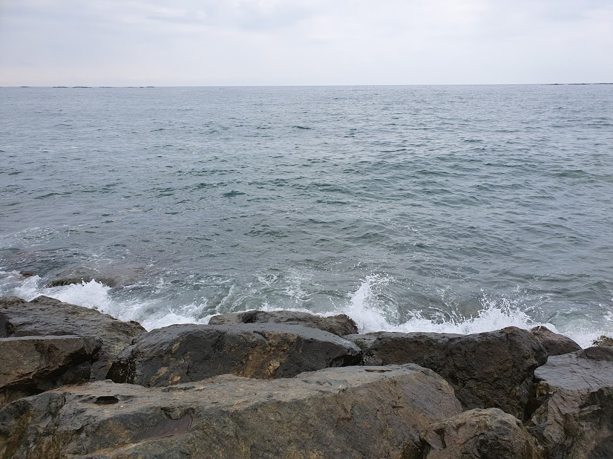 Sevgi Cafe Çay Bahçesi