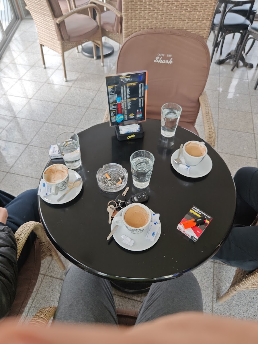 Caffe Bar 'SHARK' - 2