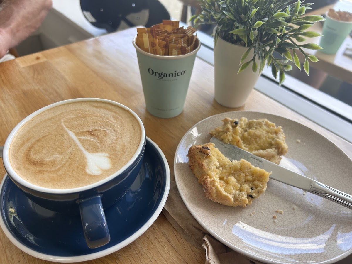 The Haven Cafe and Curios