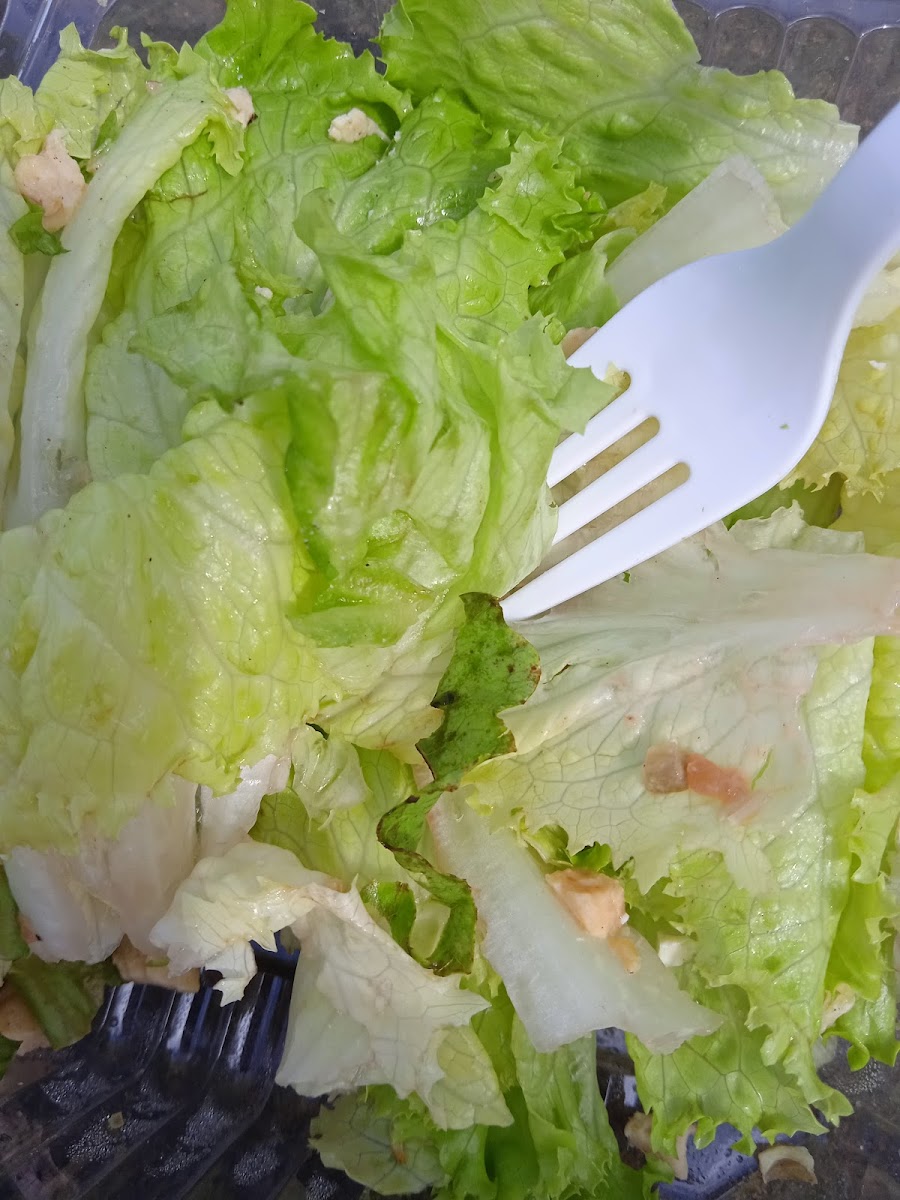 Finca Santa VeraCruz Hospital Regional Bicentenario (ISSSTE)