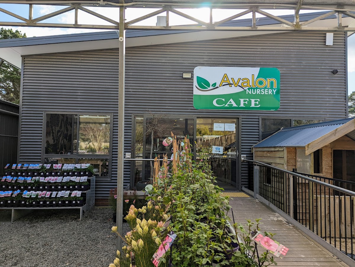 In The Sticks Cafe - 4