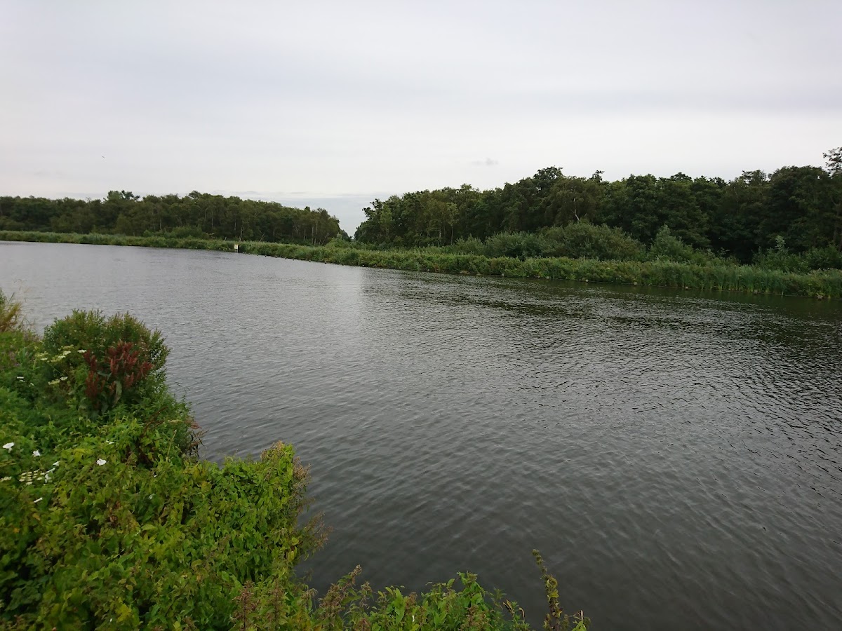 Muziek- en Eetcafé The Shack - 4