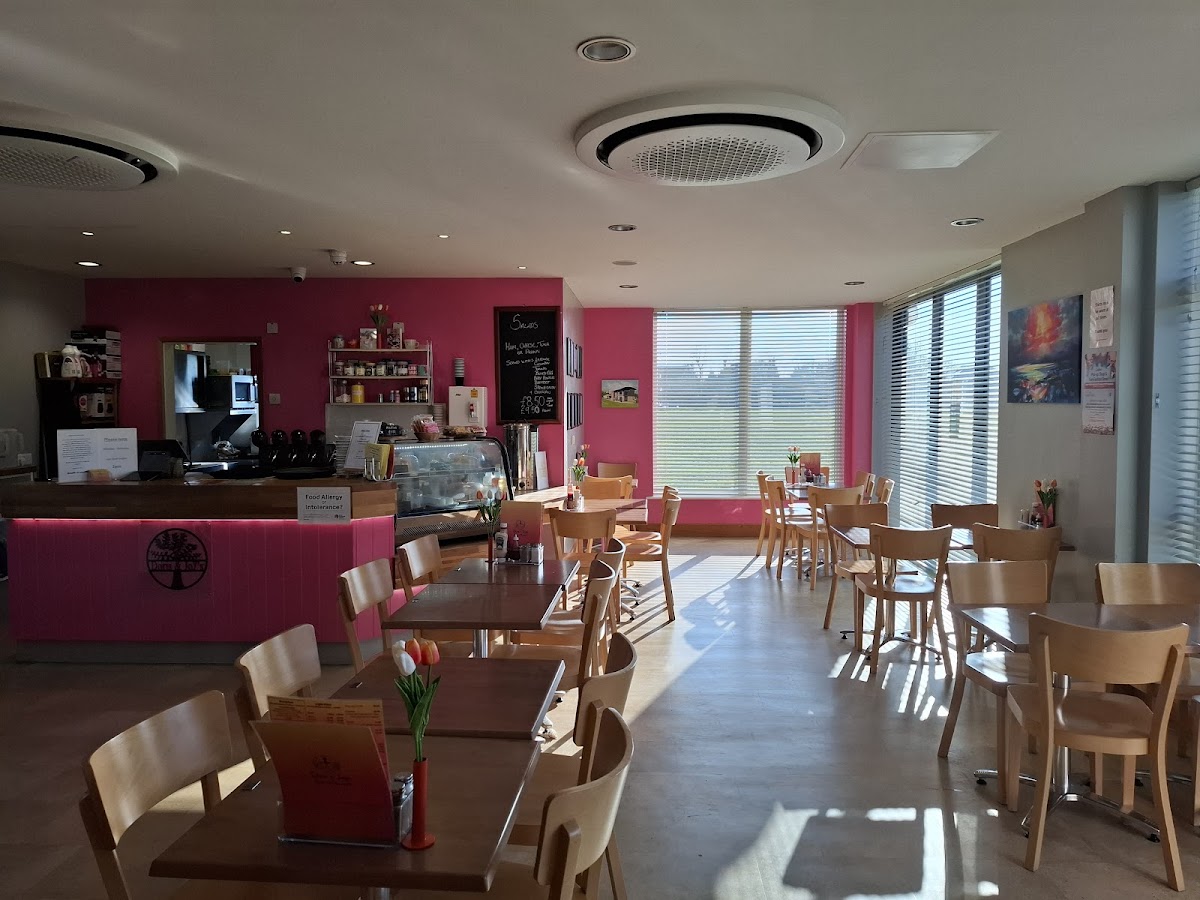 Doris & Joy's Cafe in the Park