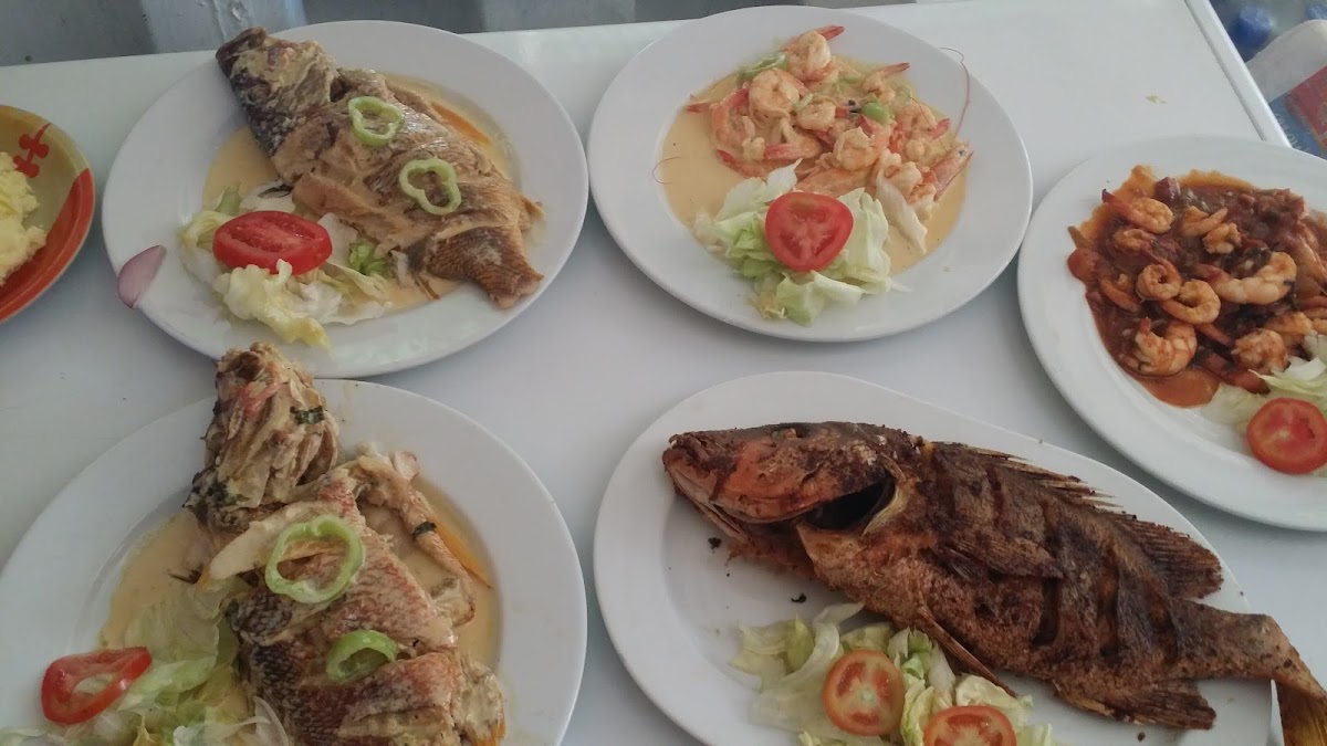 Restaurante pachi - 5