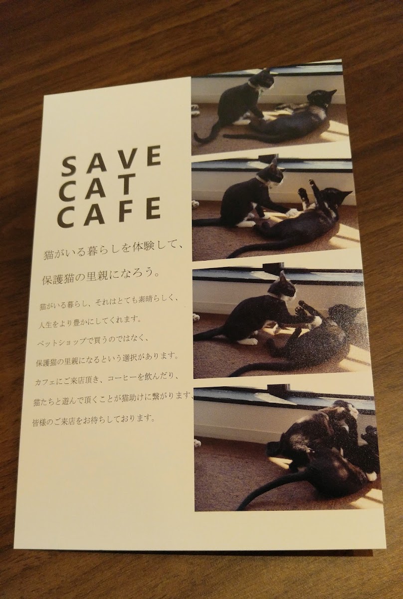 Save Cat Cafe - 4
