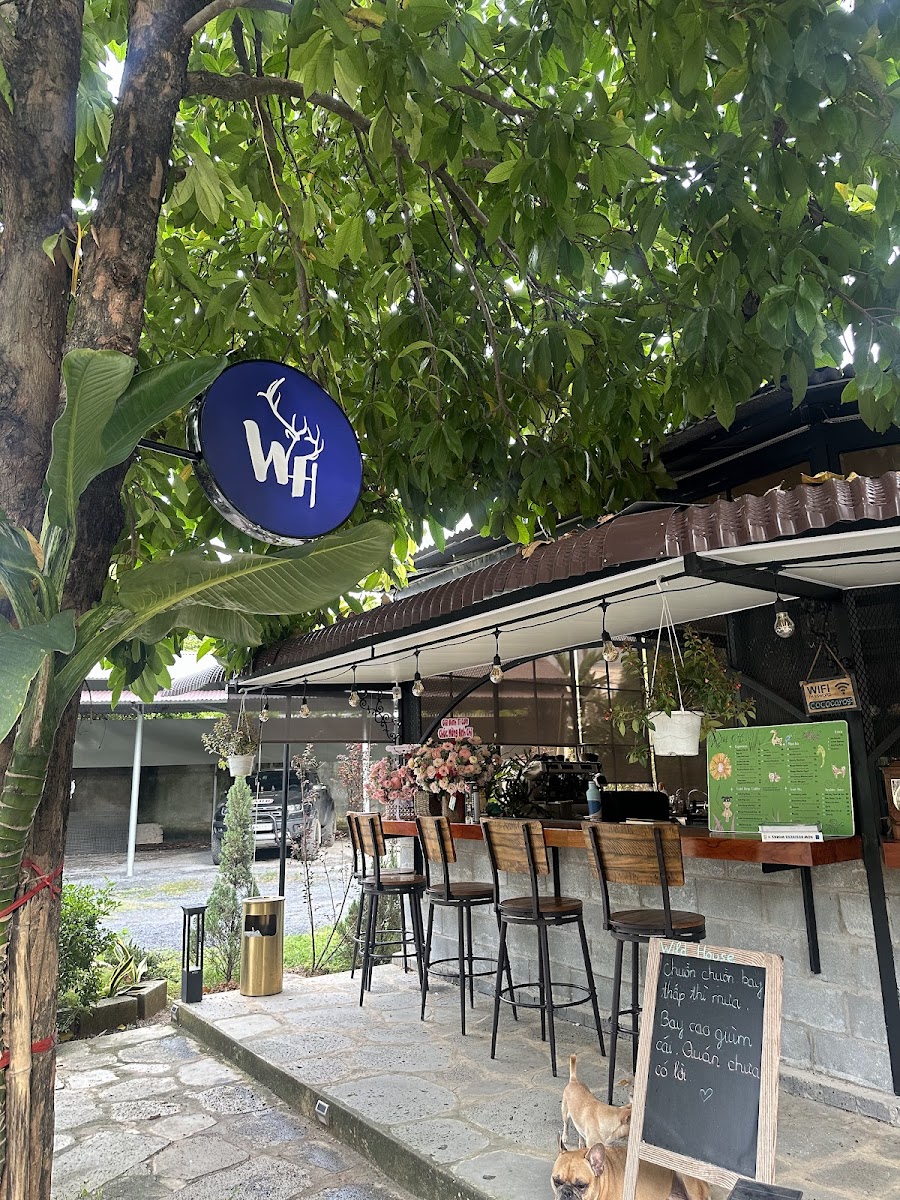 Wild House Coffee & Bakery